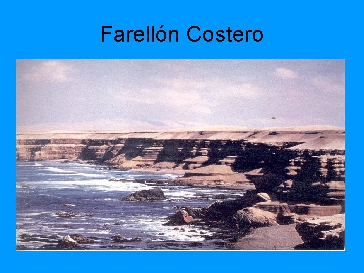 Farellón Costero 