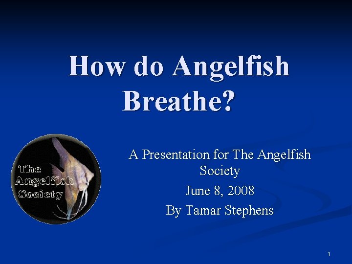 How do Angelfish Breathe? A Presentation for The Angelfish Society June 8, 2008 By