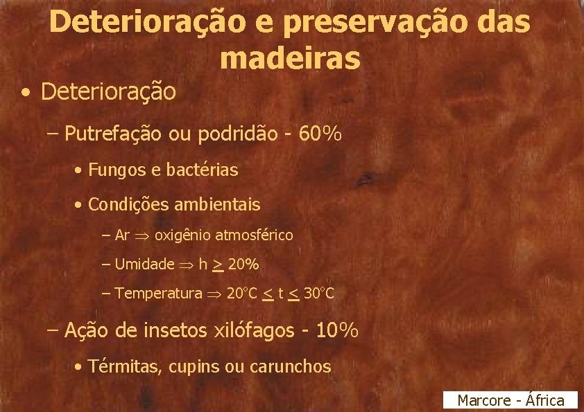 Deterioração e preservação das madeiras • Deterioração – Putrefação ou podridão - 60% •