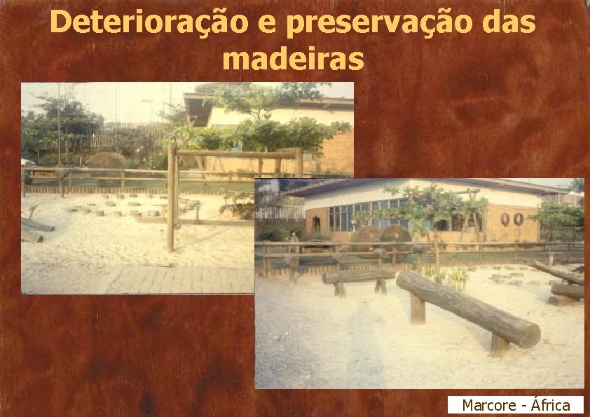 Deterioração e preservação das madeiras Marcore - África 