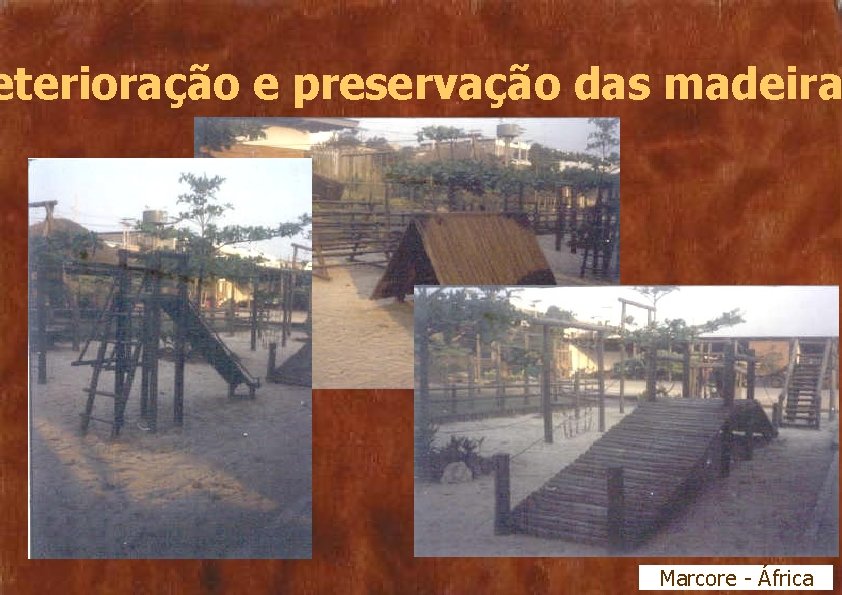 eterioração e preservação das madeira Marcore - África 