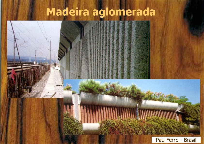 Madeira aglomerada Pau Ferro - Brasil 