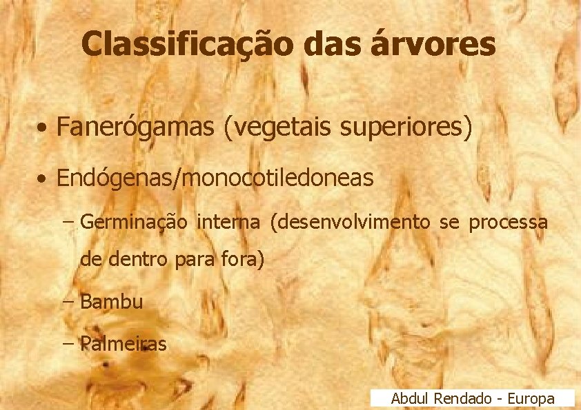 Classificação das árvores • Fanerógamas (vegetais superiores) • Endógenas/monocotiledoneas – Germinação interna (desenvolvimento se
