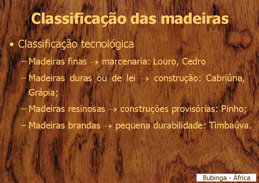 Classificação das madeiras • Classificação tecnológica – Madeiras finas marcenaria: Louro, Cedro – Madeiras