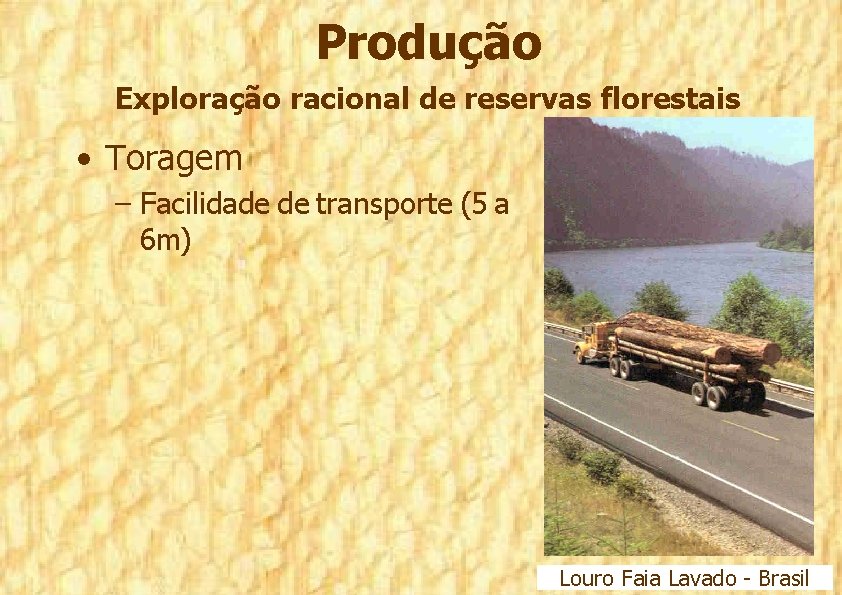 Produção Exploração racional de reservas florestais • Toragem – Facilidade de transporte (5 a
