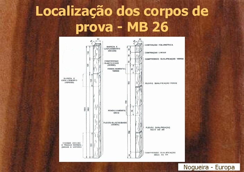 Localização dos corpos de prova - MB 26 Nogueira - Europa 