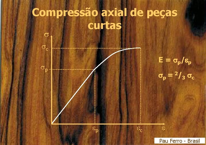 Compressão axial de peças curtas c E = sp/ep p sp = 2 /