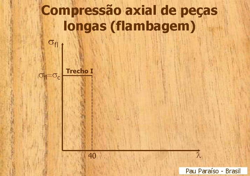 Compressão axial de peças longas (flambagem) fl fl= c Trecho I 40 Pau Paraíso