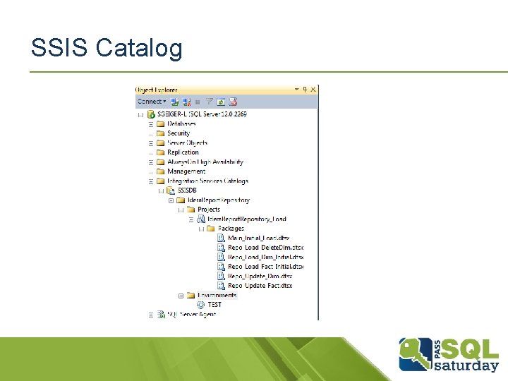 SSIS Catalog 