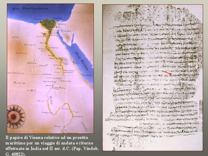 Il papiro di Vienna relativo ad un prestito marittimo per un viaggio di andata