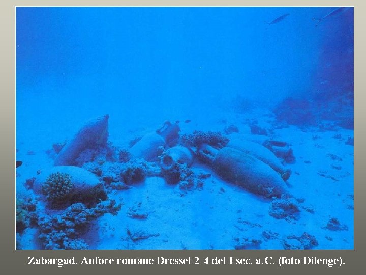 Zabargad. Anfore romane Dressel 2 -4 del I sec. a. C. (foto Dilenge). 