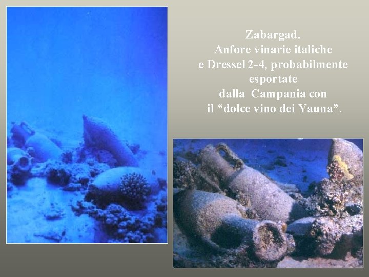 Zabargad. Anfore vinarie italiche e Dressel 2 -4, probabilmente esportate dalla Campania con il