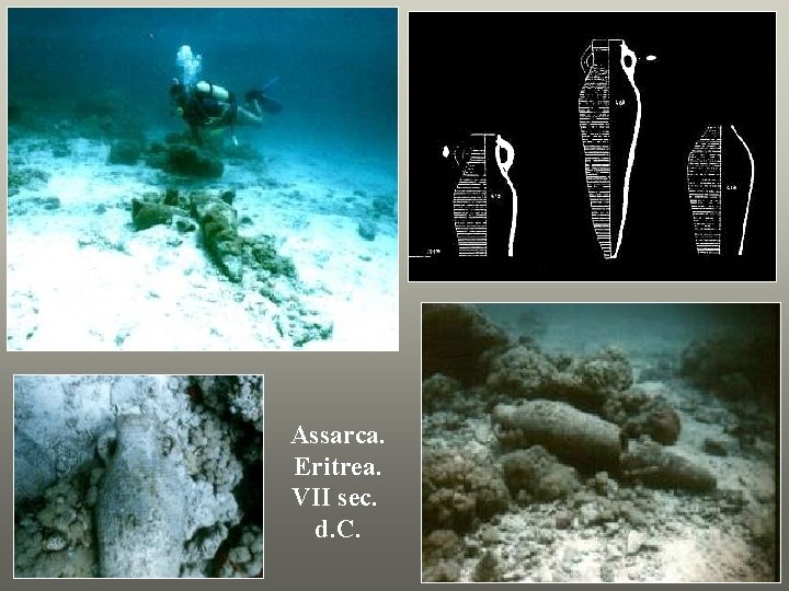 Assarca. Eritrea. VII sec. d. C. 