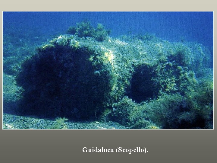 Guidaloca (Scopello). 