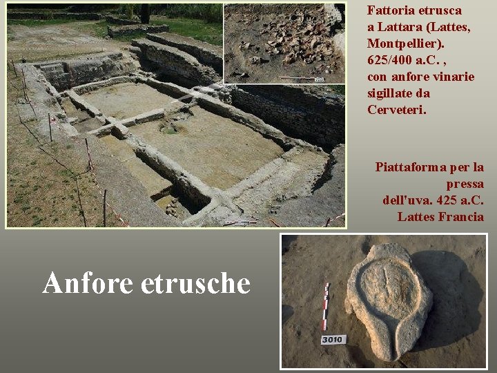 Fattoria etrusca a Lattara (Lattes, Montpellier). 625/400 a. C. , con anfore vinarie sigillate
