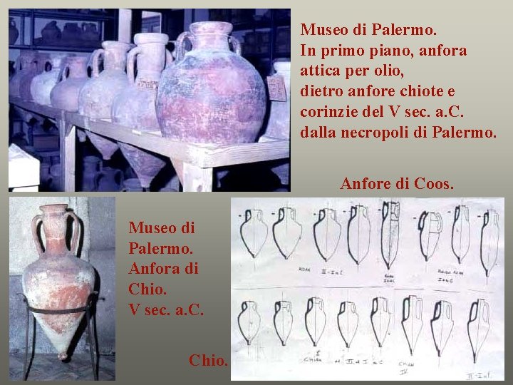 Museo di Palermo. In primo piano, anfora attica per olio, dietro anfore chiote e
