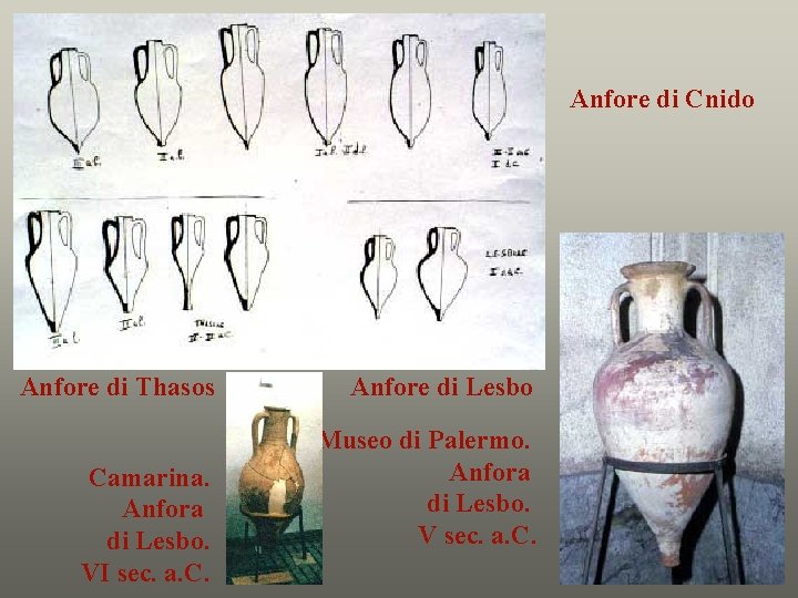 Anfore di Cnido Anfore di Thasos Camarina. Anfora di Lesbo. VI sec. a. C.