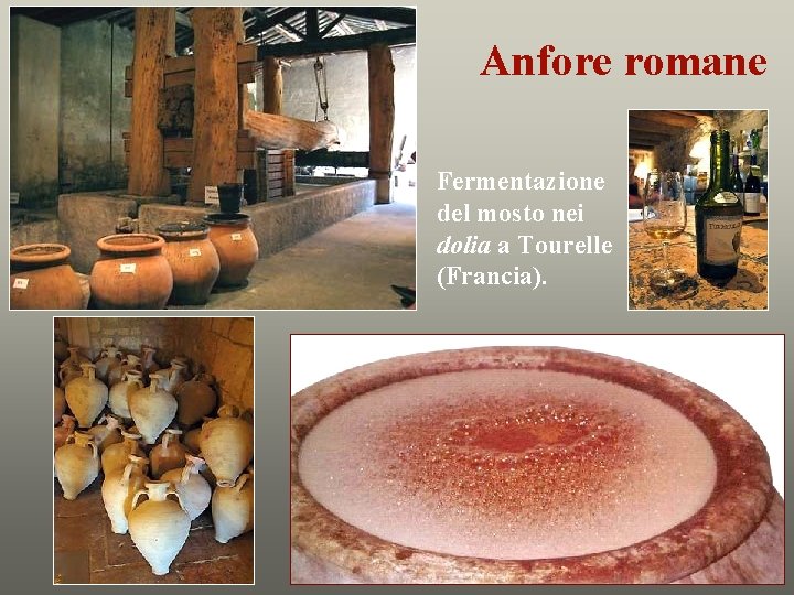 Anfore romane Fermentazione del mosto nei dolia a Tourelle (Francia). 