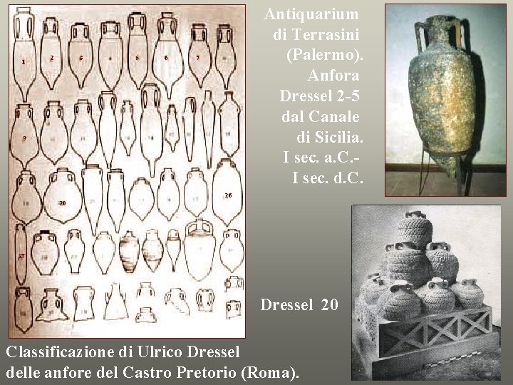 1 2 3 5 6 Antiquarium di Terrasini (Palermo). Anfora Dressel 2 -5 dal