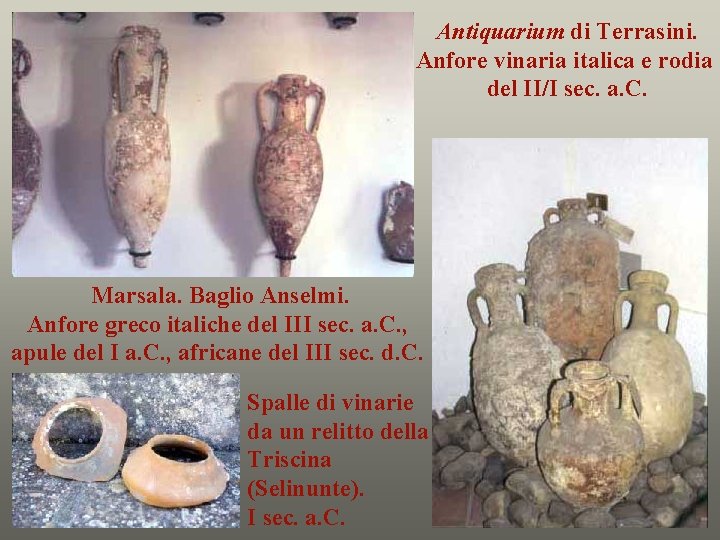 Antiquarium di Terrasini. Anfore vinaria italica e rodia del II/I sec. a. C. Marsala.