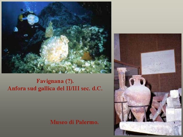 Favignana (? ). Anfora sud gallica del II/III sec. d. C. Museo di Palermo.