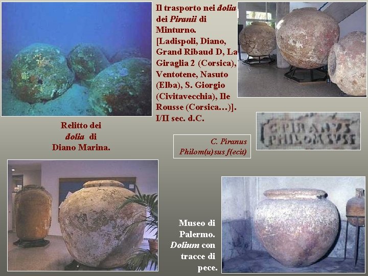 Relitto dei dolia di Diano Marina. Il trasporto nei dolia dei Piranii di Minturno.