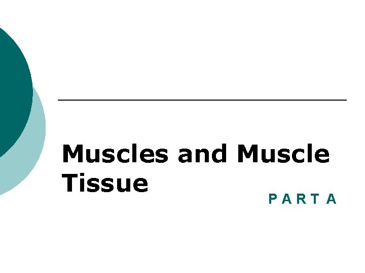 Muscles and Muscle Tissue PART A 