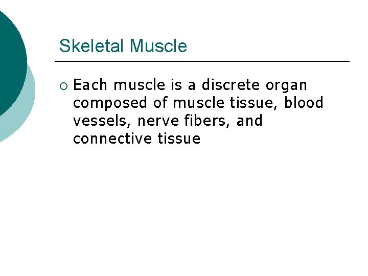 Skeletal Muscle ¡ Each muscle is a discrete organ composed of muscle tissue, blood