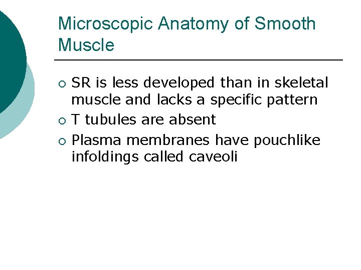 Microscopic Anatomy of Smooth Muscle ¡ ¡ ¡ SR is less developed than in