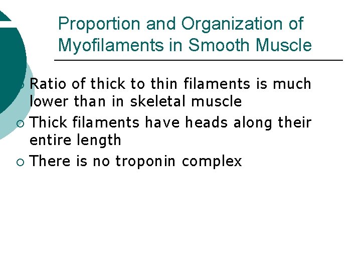 Proportion and Organization of Myofilaments in Smooth Muscle Ratio of thick to thin filaments