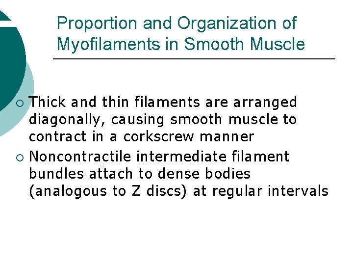 Proportion and Organization of Myofilaments in Smooth Muscle Thick and thin filaments are arranged