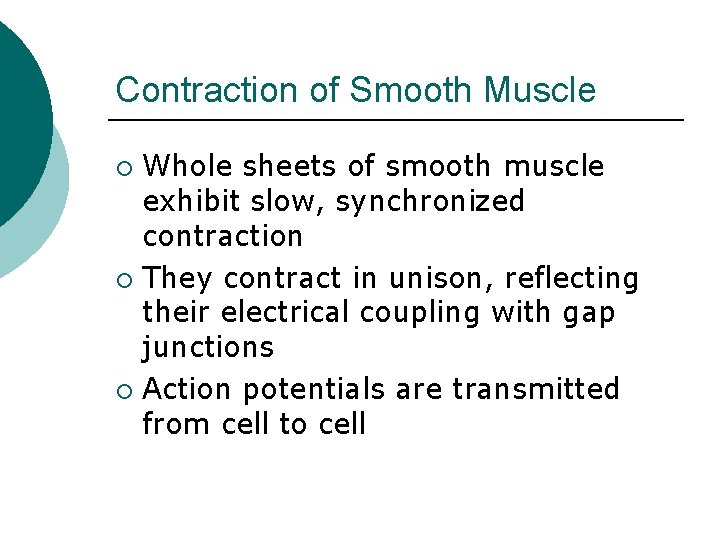 Contraction of Smooth Muscle Whole sheets of smooth muscle exhibit slow, synchronized contraction ¡