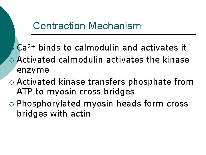 Contraction Mechanism Ca 2+ binds to calmodulin and activates it ¡ Activated calmodulin activates Contraction Mechanism Ca 2+ binds to calmodulin and activates it ¡ Activated calmodulin activates