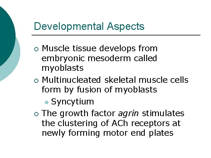 Developmental Aspects ¡ ¡ ¡ Muscle tissue develops from embryonic mesoderm called myoblasts Multinucleated