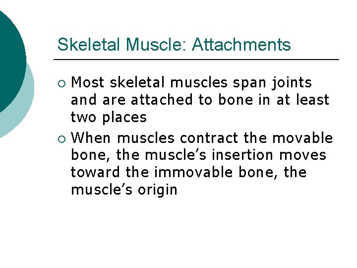 Skeletal Muscle: Attachments Most skeletal muscles span joints and are attached to bone in