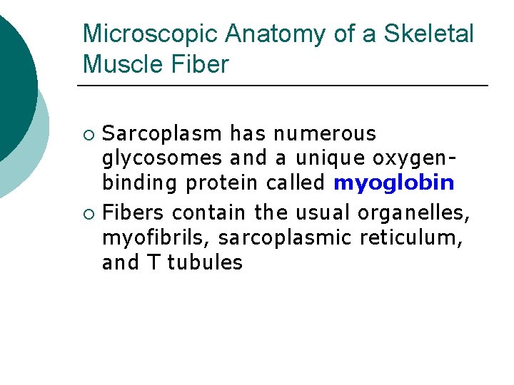 Microscopic Anatomy of a Skeletal Muscle Fiber Sarcoplasm has numerous glycosomes and a unique