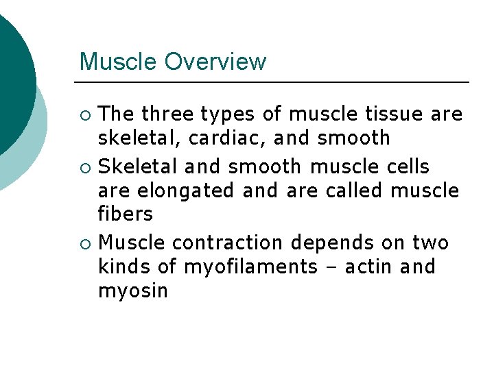 Muscle Overview The three types of muscle tissue are skeletal, cardiac, and smooth ¡