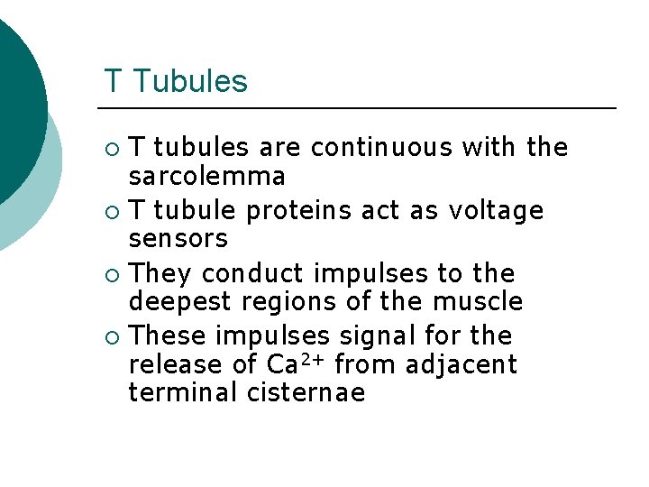 T Tubules T tubules are continuous with the sarcolemma ¡ T tubule proteins act