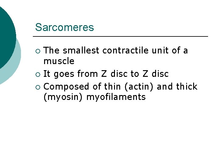 Sarcomeres The smallest contractile unit of a muscle ¡ It goes from Z disc