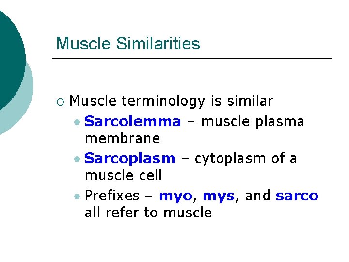 Muscle Similarities ¡ Muscle terminology is similar l Sarcolemma – muscle plasma membrane l