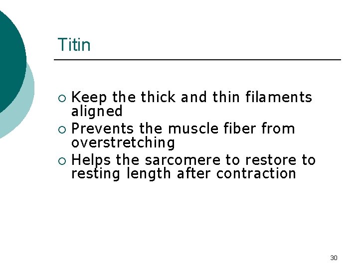 Titin Keep the thick and thin filaments aligned ¡ Prevents the muscle fiber from