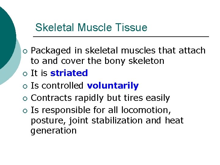 Skeletal Muscle Tissue ¡ ¡ ¡ Packaged in skeletal muscles that attach to and