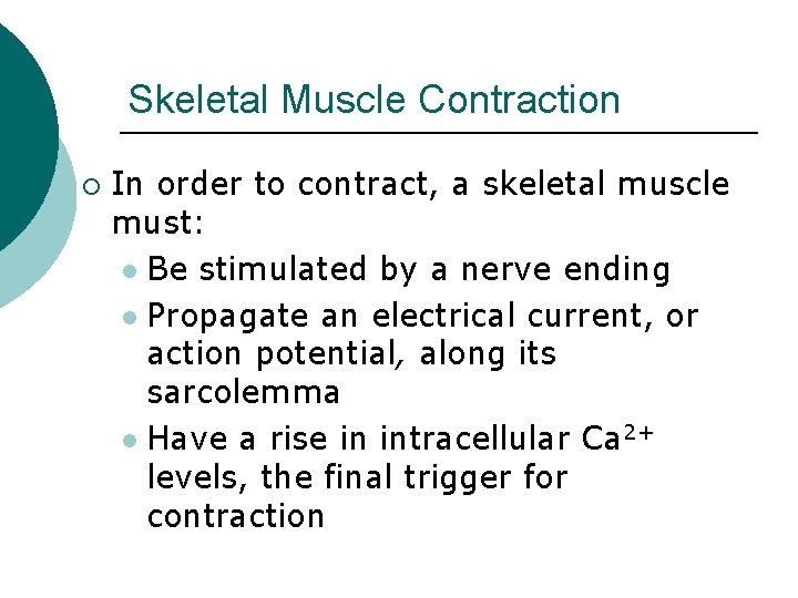 Skeletal Muscle Contraction ¡ In order to contract, a skeletal muscle must: l Be