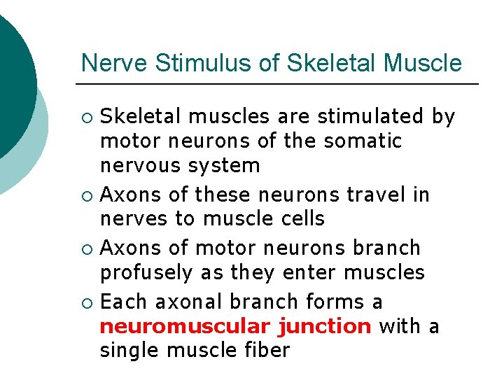 Nerve Stimulus of Skeletal Muscle Skeletal muscles are stimulated by motor neurons of the