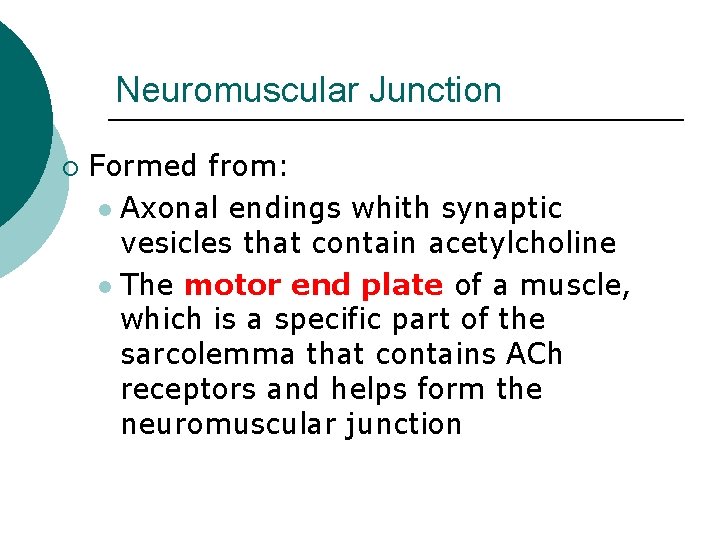 Neuromuscular Junction ¡ Formed from: l Axonal endings whith synaptic vesicles that contain acetylcholine