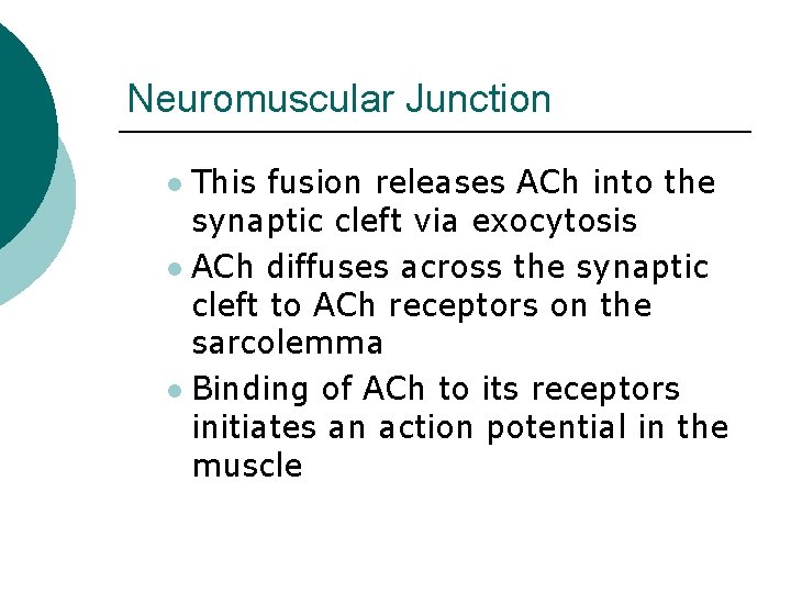 Neuromuscular Junction This fusion releases ACh into the synaptic cleft via exocytosis l ACh