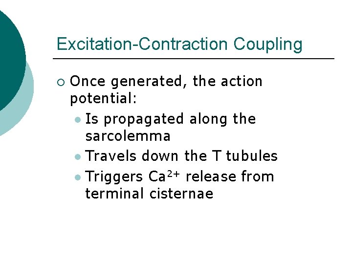 Excitation-Contraction Coupling ¡ Once generated, the action potential: l Is propagated along the sarcolemma