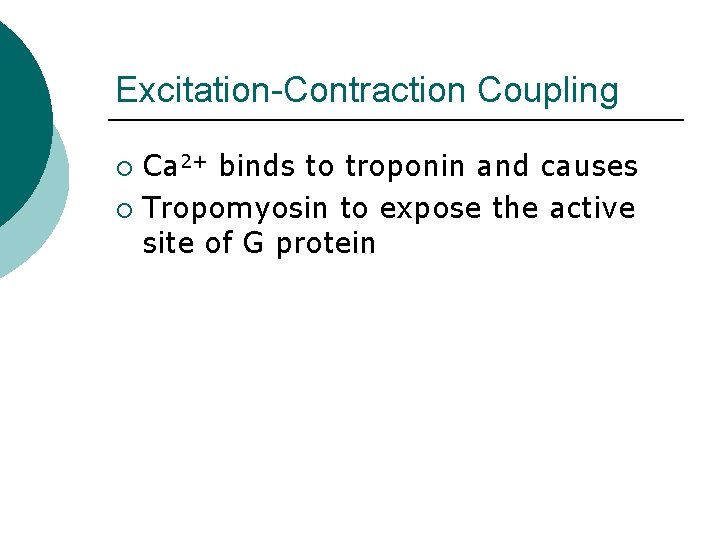 Excitation-Contraction Coupling Ca 2+ binds to troponin and causes ¡ Tropomyosin to expose the