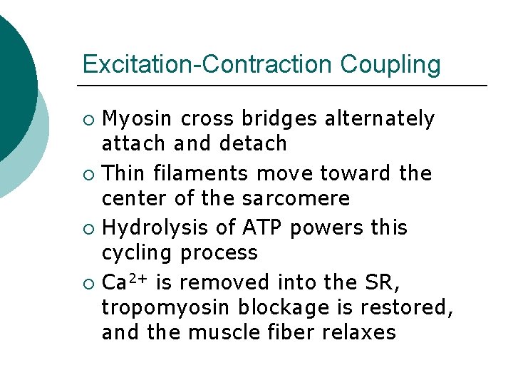 Excitation-Contraction Coupling Myosin cross bridges alternately attach and detach ¡ Thin filaments move toward