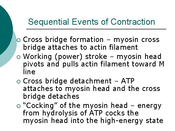 Sequential Events of Contraction Cross bridge formation – myosin cross bridge attaches to actin Sequential Events of Contraction Cross bridge formation – myosin cross bridge attaches to actin